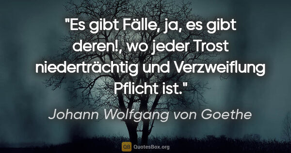 Johann Wolfgang von Goethe Zitat: "Es gibt Fälle, ja, es gibt deren!, wo jeder Trost..."