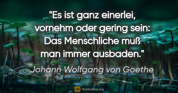 Johann Wolfgang von Goethe Zitat: "Es ist ganz einerlei, vornehm oder gering sein: Das..."