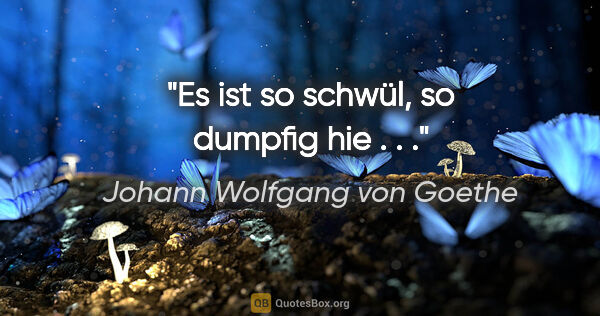 Johann Wolfgang von Goethe Zitat: "Es ist so schwül, so dumpfig hie . . ."