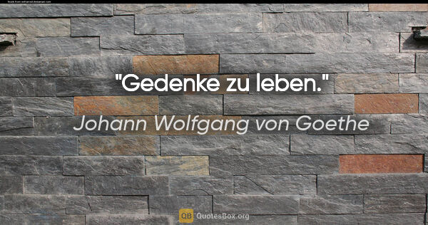 Johann Wolfgang von Goethe Zitat: "Gedenke zu leben."