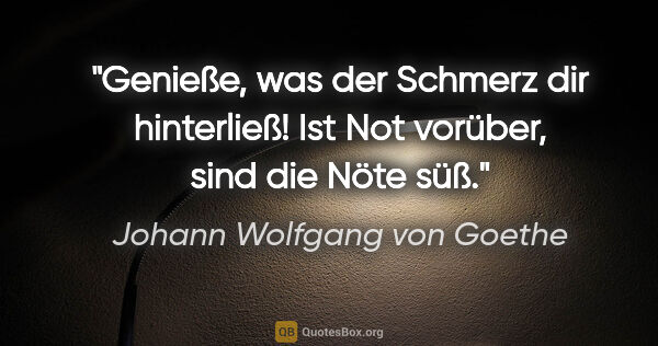 Johann Wolfgang von Goethe Zitat: "Genieße, was der Schmerz dir hinterließ! Ist Not vorüber, sind..."
