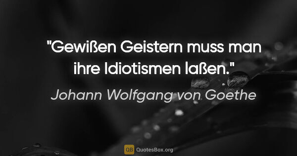 Johann Wolfgang von Goethe Zitat: "Gewißen Geistern muss man ihre Idiotismen laßen."