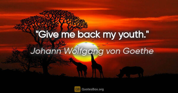 Johann Wolfgang von Goethe Zitat: "Give me back my youth."