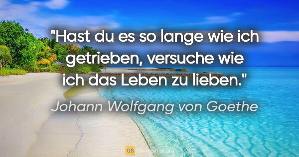Johann Wolfgang von Goethe Zitat: "Hast du es so lange wie ich getrieben, versuche wie ich das..."