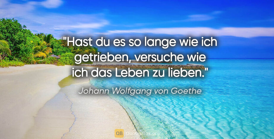 Johann Wolfgang von Goethe Zitat: "Hast du es so lange wie ich getrieben, versuche wie ich das..."