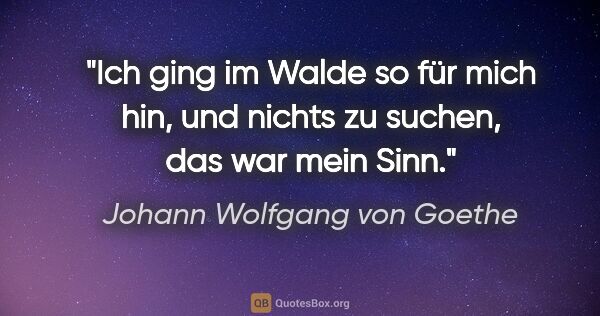 Johann Wolfgang von Goethe Zitat: "Ich ging im Walde so für mich hin, und nichts zu suchen, das..."