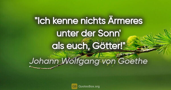 Johann Wolfgang von Goethe Zitat: "Ich kenne nichts Ärmeres unter der Sonn' als euch, Götter!"