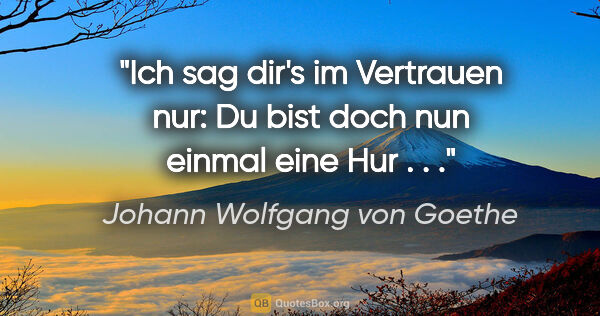 Johann Wolfgang von Goethe Zitat: "Ich sag dir's im Vertrauen nur: Du bist doch nun einmal eine..."