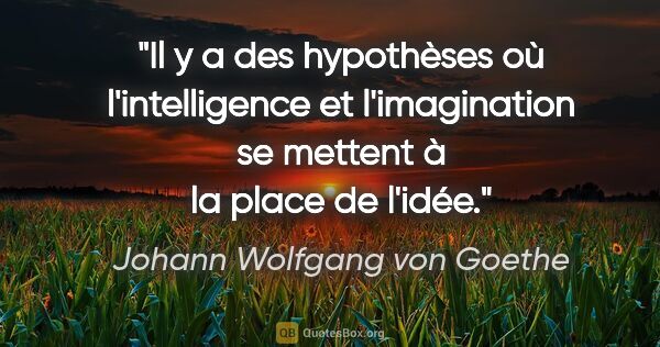 Johann Wolfgang von Goethe Zitat: "Il y a des hypothèses où l'intelligence et l'imagination se..."