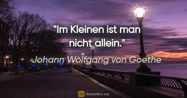 Johann Wolfgang von Goethe Zitat: "Im Kleinen ist man nicht allein."