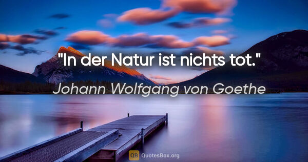 Johann Wolfgang von Goethe Zitat: "In der Natur ist nichts tot."