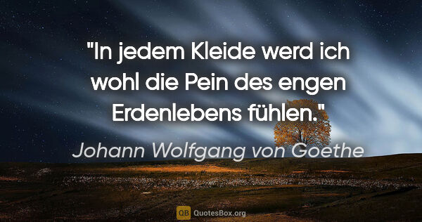 Johann Wolfgang von Goethe Zitat: "In jedem Kleide werd ich wohl die Pein des engen Erdenlebens..."
