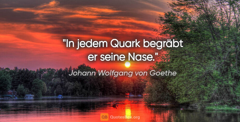 Johann Wolfgang von Goethe Zitat: "In jedem Quark begräbt er seine Nase."