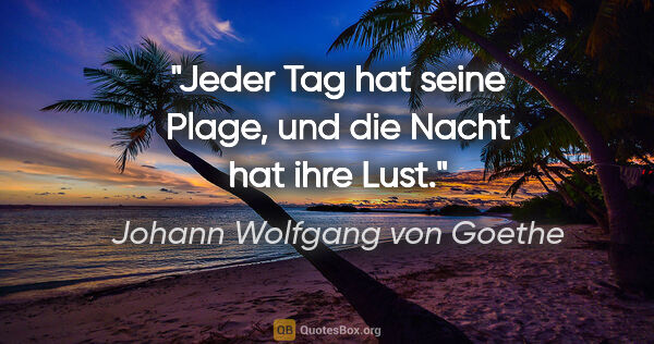 Johann Wolfgang von Goethe Zitat: "Jeder Tag hat seine Plage, und die Nacht hat ihre Lust."