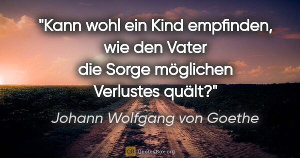 Johann Wolfgang von Goethe Zitat: "Kann wohl ein Kind empfinden, wie den Vater die Sorge..."