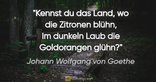 Johann Wolfgang von Goethe Zitat: "Kennst du das Land, wo die Zitronen blühn, Im dunkeln Laub die..."