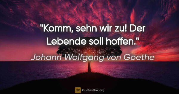 Johann Wolfgang von Goethe Zitat: "Komm, sehn wir zu! Der Lebende soll hoffen."