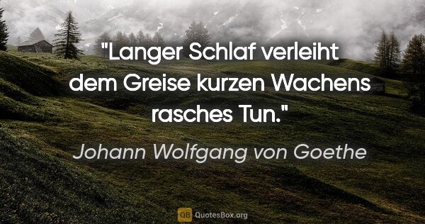 Johann Wolfgang von Goethe Zitat: "Langer Schlaf verleiht dem Greise kurzen Wachens rasches Tun."