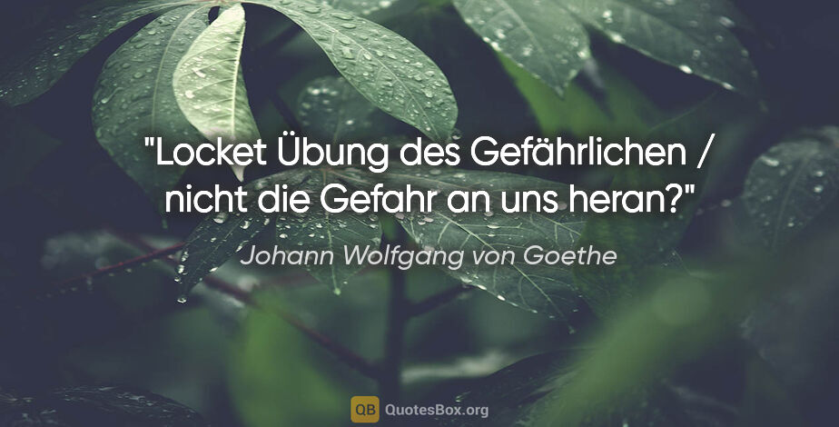 Johann Wolfgang von Goethe Zitat: "Locket Übung des Gefährlichen / nicht die Gefahr an uns heran?"