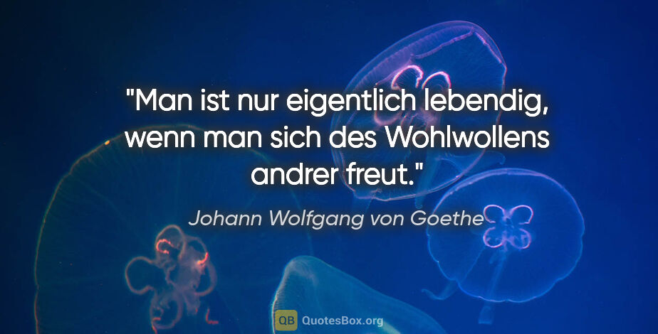 Johann Wolfgang von Goethe Zitat: "Man ist nur eigentlich lebendig, wenn man sich des Wohlwollens..."