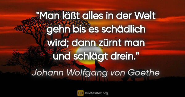Johann Wolfgang von Goethe Zitat: "Man läßt alles in der Welt gehn bis es schädlich wird; dann..."