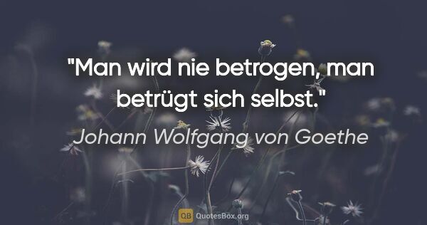 Johann Wolfgang von Goethe Zitat: "Man wird nie betrogen, man betrügt sich selbst."