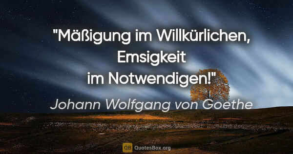 Johann Wolfgang von Goethe Zitat: "Mäßigung im Willkürlichen, Emsigkeit im Notwendigen!"