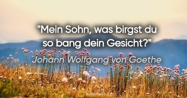 Johann Wolfgang von Goethe Zitat: "Mein Sohn, was birgst du so bang dein Gesicht?"