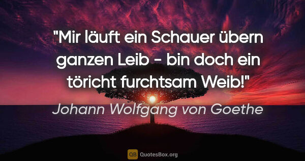 Johann Wolfgang von Goethe Zitat: "Mir läuft ein Schauer übern ganzen Leib - bin doch ein töricht..."