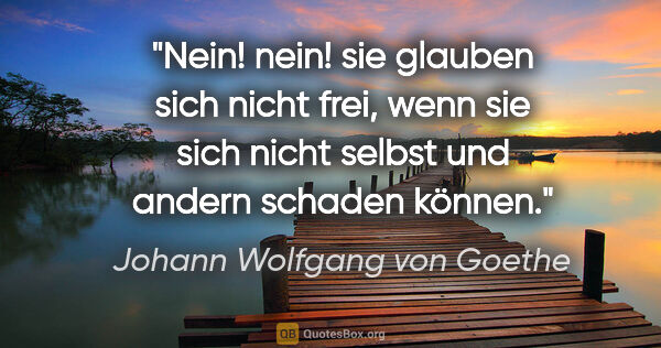 Johann Wolfgang von Goethe Zitat: "Nein! nein! sie glauben sich nicht frei, wenn sie sich nicht..."