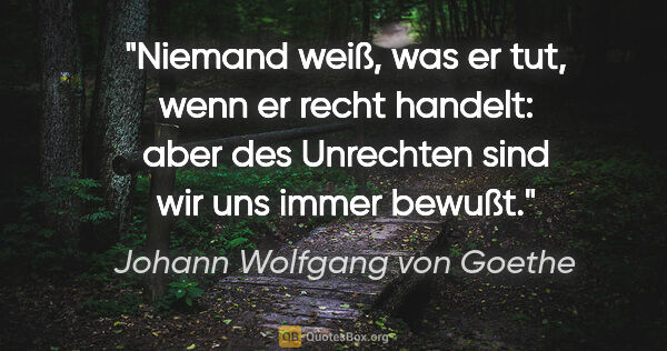 Johann Wolfgang von Goethe Zitat: "Niemand weiß, was er tut, wenn er recht handelt: aber des..."