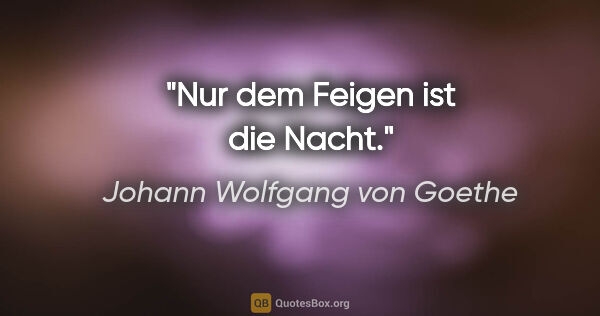 Johann Wolfgang von Goethe Zitat: "Nur dem Feigen ist die Nacht."