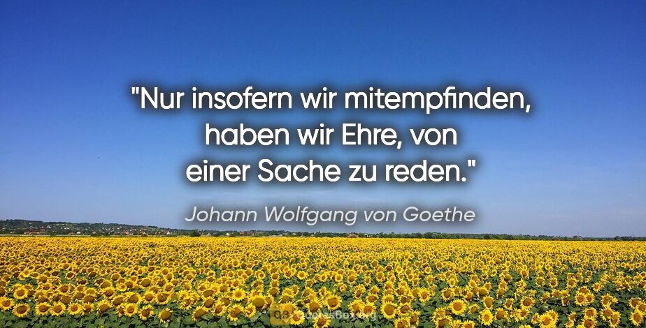 Johann Wolfgang von Goethe Zitat: "Nur insofern wir mitempfinden, haben wir Ehre, von einer Sache..."