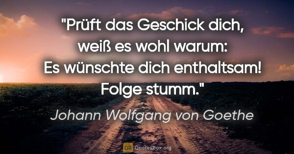 Johann Wolfgang von Goethe Zitat: "Prüft das Geschick dich, weiß es wohl warum: Es wünschte dich..."