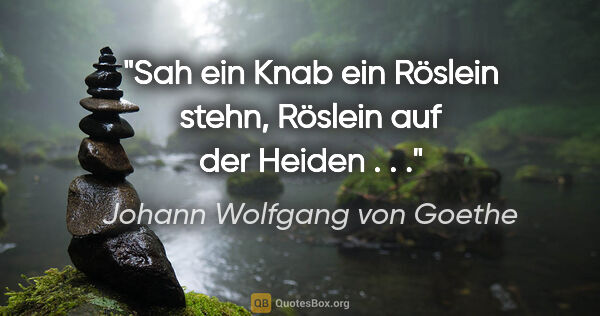 Johann Wolfgang von Goethe Zitat: "Sah ein Knab ein Röslein stehn, Röslein auf der Heiden . . ."