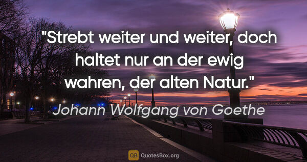 Johann Wolfgang von Goethe Zitat: "Strebt weiter und weiter, doch haltet nur an der ewig wahren,..."