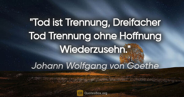Johann Wolfgang von Goethe Zitat: "Tod ist Trennung, Dreifacher Tod Trennung ohne Hoffnung..."