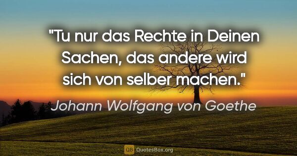 Johann Wolfgang von Goethe Zitat: "Tu nur das Rechte in Deinen Sachen, das andere wird sich von..."