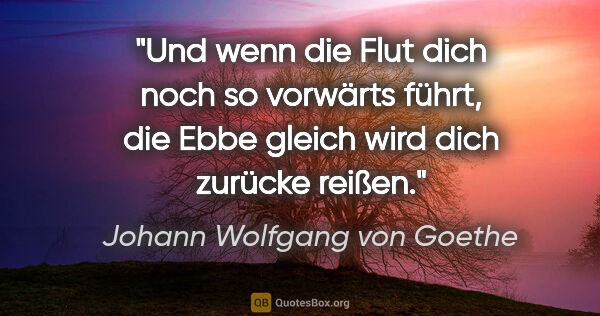 Johann Wolfgang von Goethe Zitat: "Und wenn die Flut dich noch so vorwärts führt, die Ebbe gleich..."