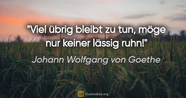 Johann Wolfgang von Goethe Zitat: "Viel übrig bleibt zu tun, möge nur keiner lässig ruhn!"