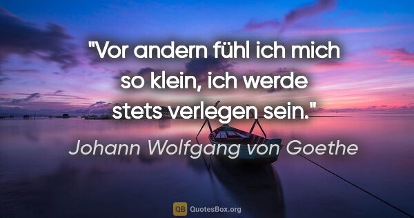 Johann Wolfgang von Goethe Zitat: "Vor andern fühl ich mich so klein, ich werde stets verlegen sein."