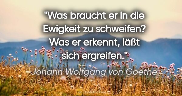 Johann Wolfgang von Goethe Zitat: "Was braucht er in die Ewigkeit zu schweifen? Was er erkennt,..."