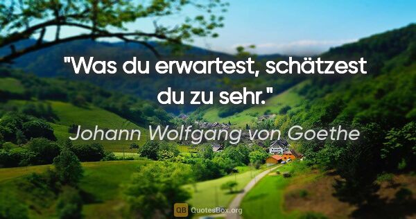 Johann Wolfgang von Goethe Zitat: "Was du erwartest, schätzest du zu sehr."