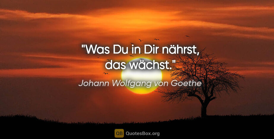 Johann Wolfgang von Goethe Zitat: "Was Du in Dir nährst, das wächst."