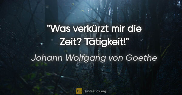 Johann Wolfgang von Goethe Zitat: "Was verkürzt mir die Zeit? Tätigkeit!"