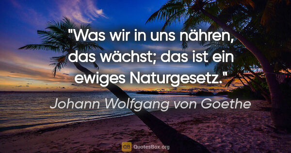 Johann Wolfgang von Goethe Zitat: "Was wir in uns nähren, das wächst; das ist ein ewiges..."