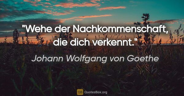 Johann Wolfgang von Goethe Zitat: "Wehe der Nachkommenschaft, die dich verkennt."
