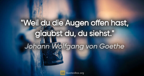 Johann Wolfgang von Goethe Zitat: "Weil du die Augen offen hast, glaubst du, du siehst."