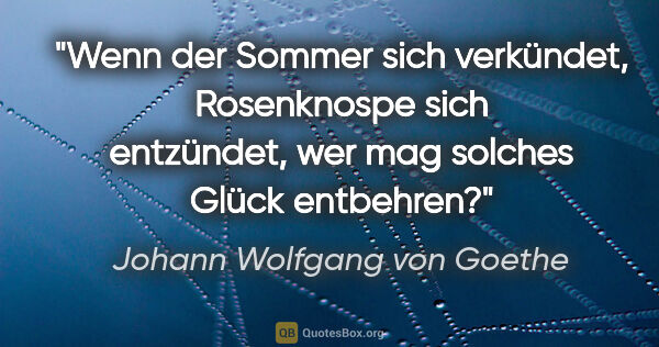 Johann Wolfgang von Goethe Zitat: "Wenn der Sommer sich verkündet, Rosenknospe sich entzündet,..."