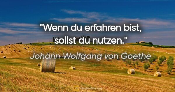 Johann Wolfgang von Goethe Zitat: "Wenn du erfahren bist, sollst du nutzen."